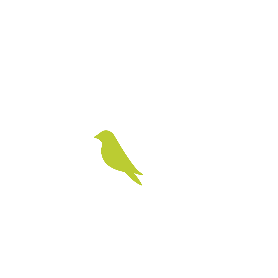 Lime Bird